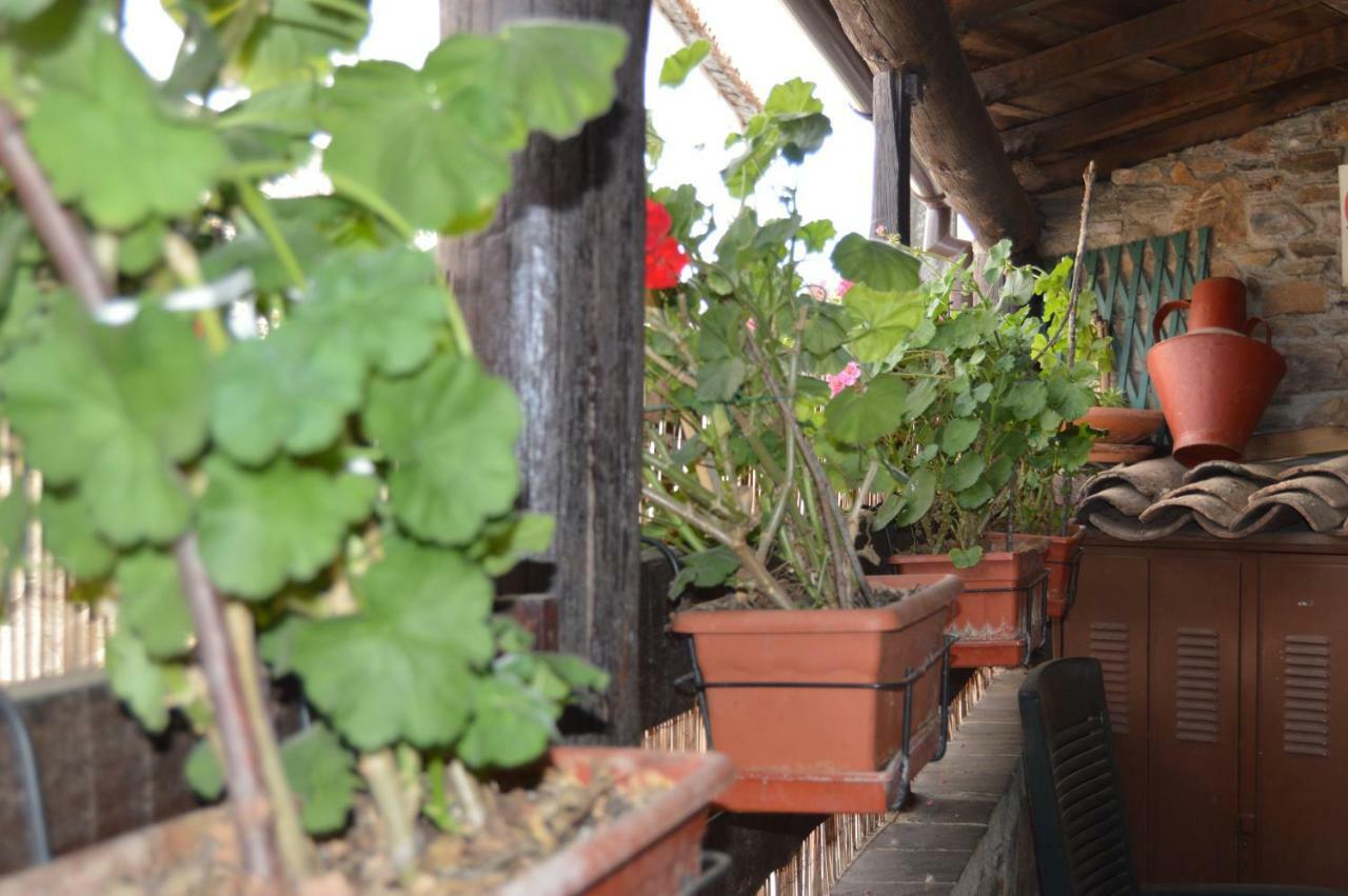 Apimonte Casa Do Pascoal - Pn Montesinho Ferienhaus